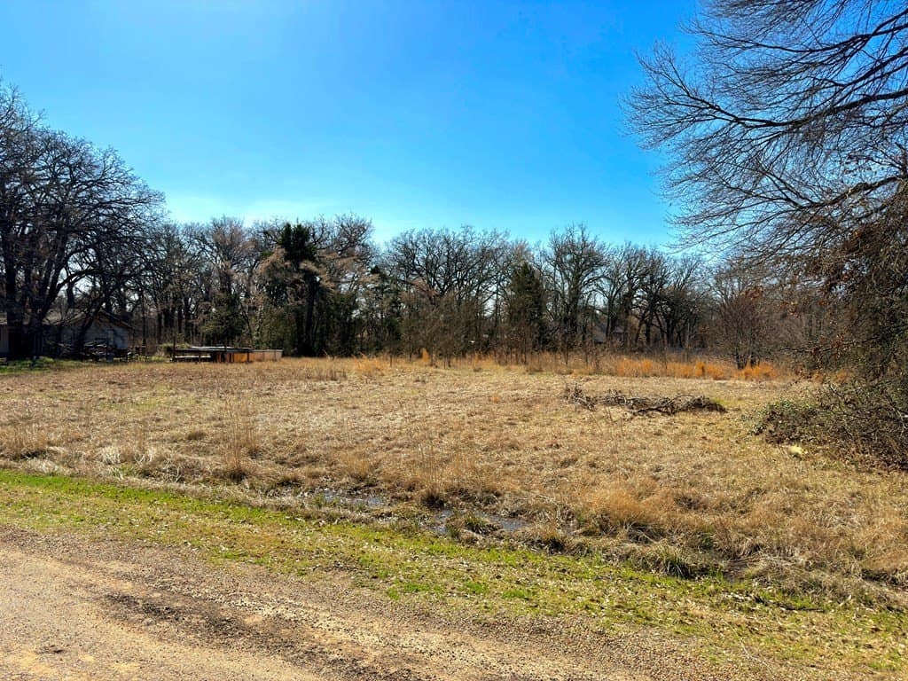 0.69 acres in Henderson County - photo 6