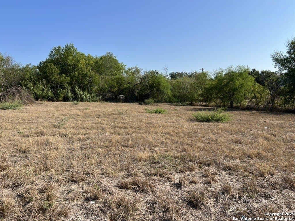 0.29 acres in Bexar County - photo 3