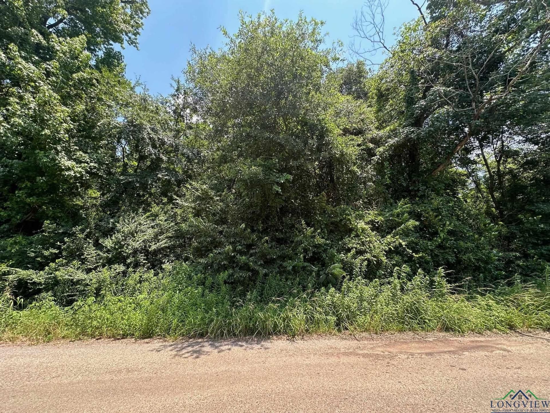 2 acres in Texas County - photo 4