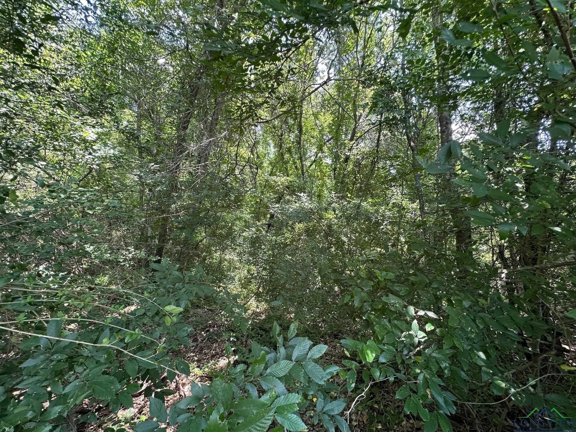 2 acres in Texas County - photo 8