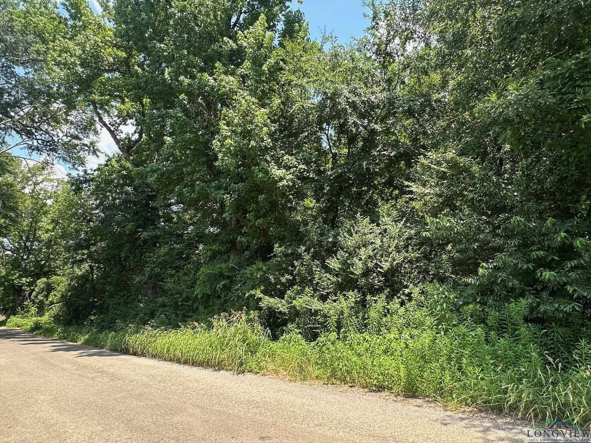 2 acres in Texas County - photo 3