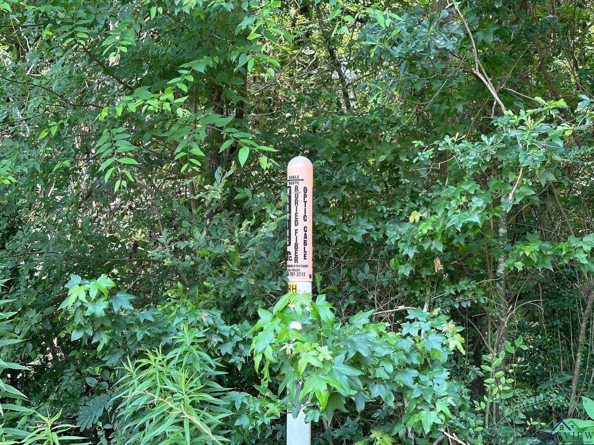 2 acres in Texas County - photo 2