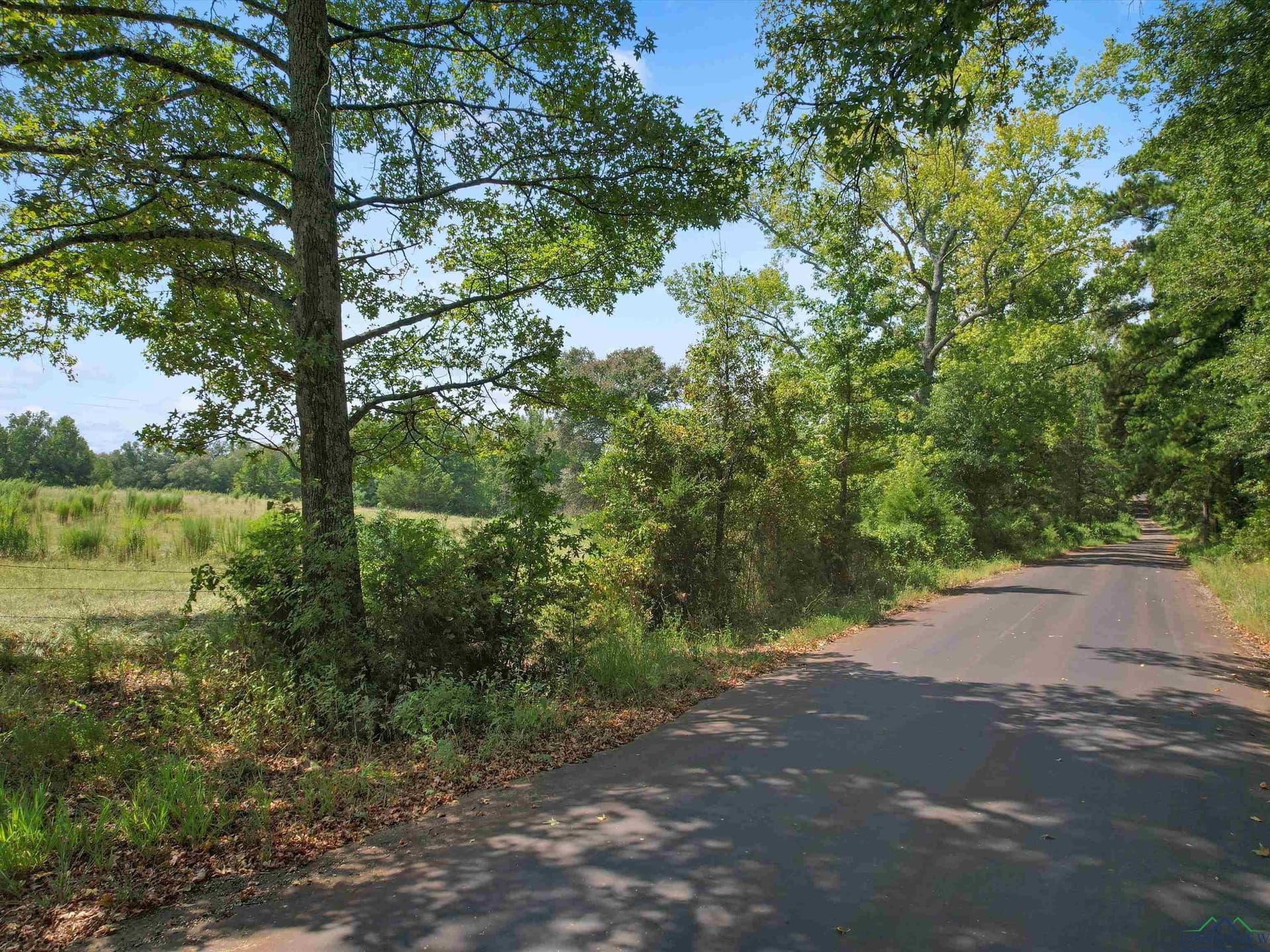 29.75 acres in Upshur County - photo 5