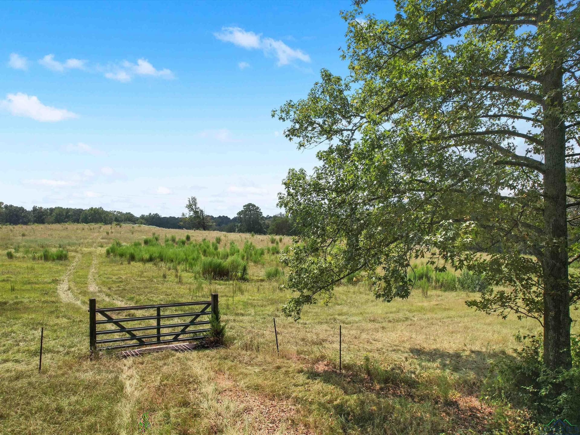 29.75 acres in Upshur County - photo 9