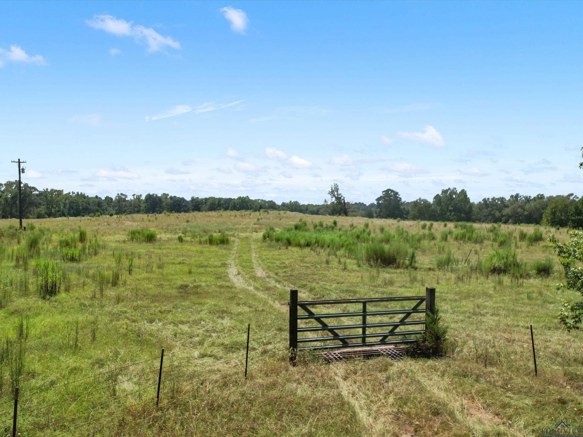 29.75 acres in Upshur County - photo 8