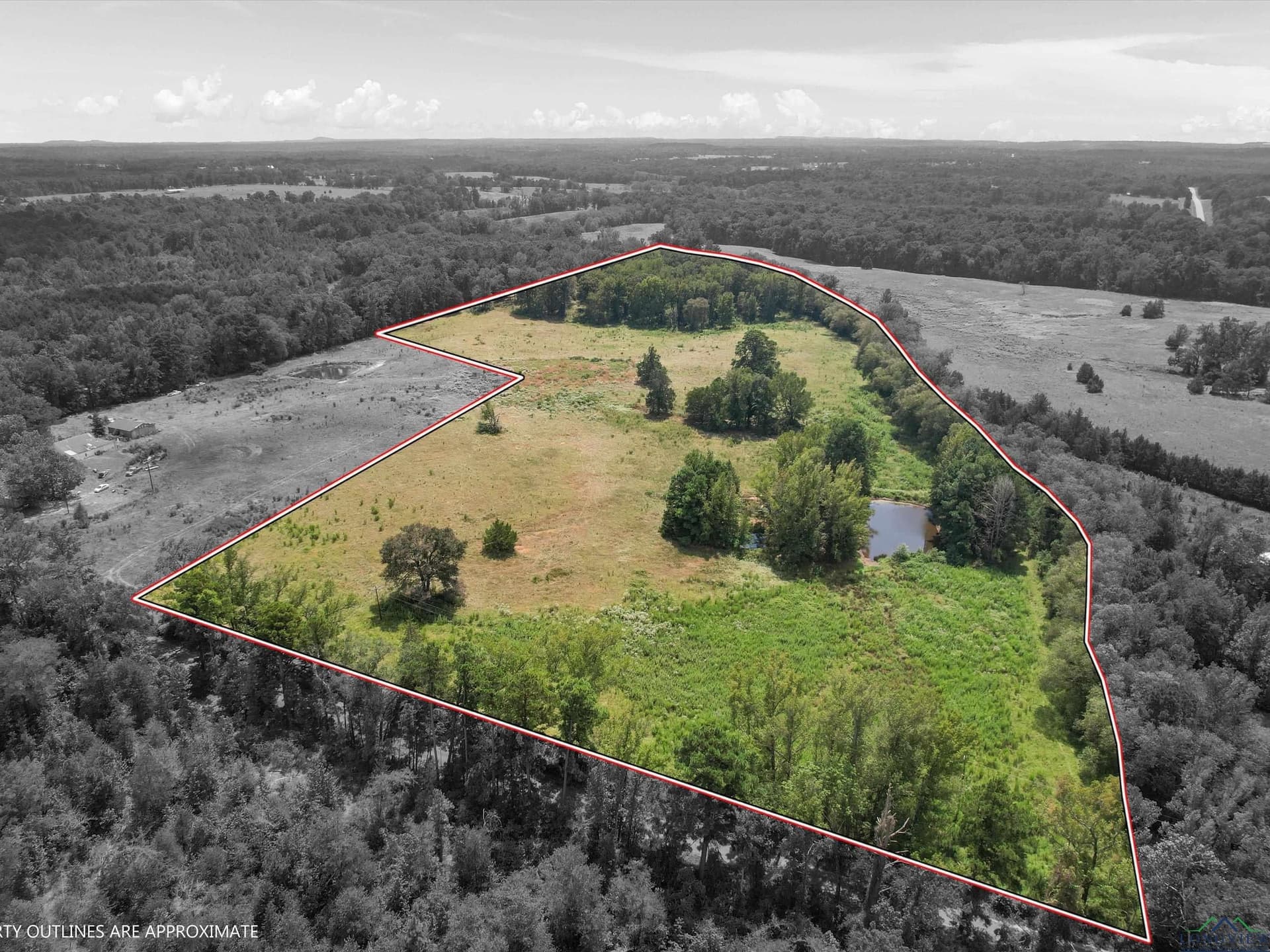 Tbd Ocelot Rd