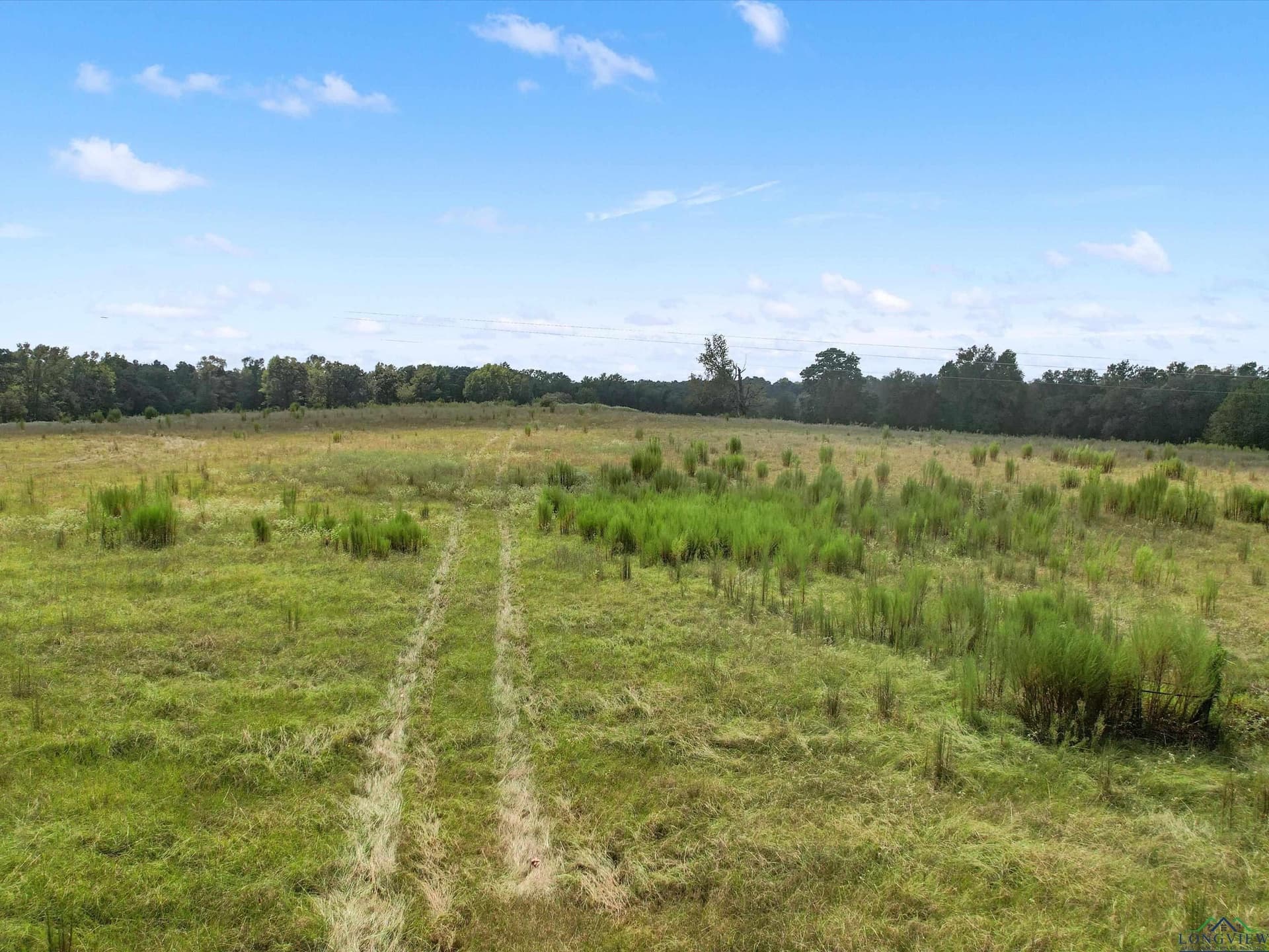 29.75 acres in Upshur County - photo 4
