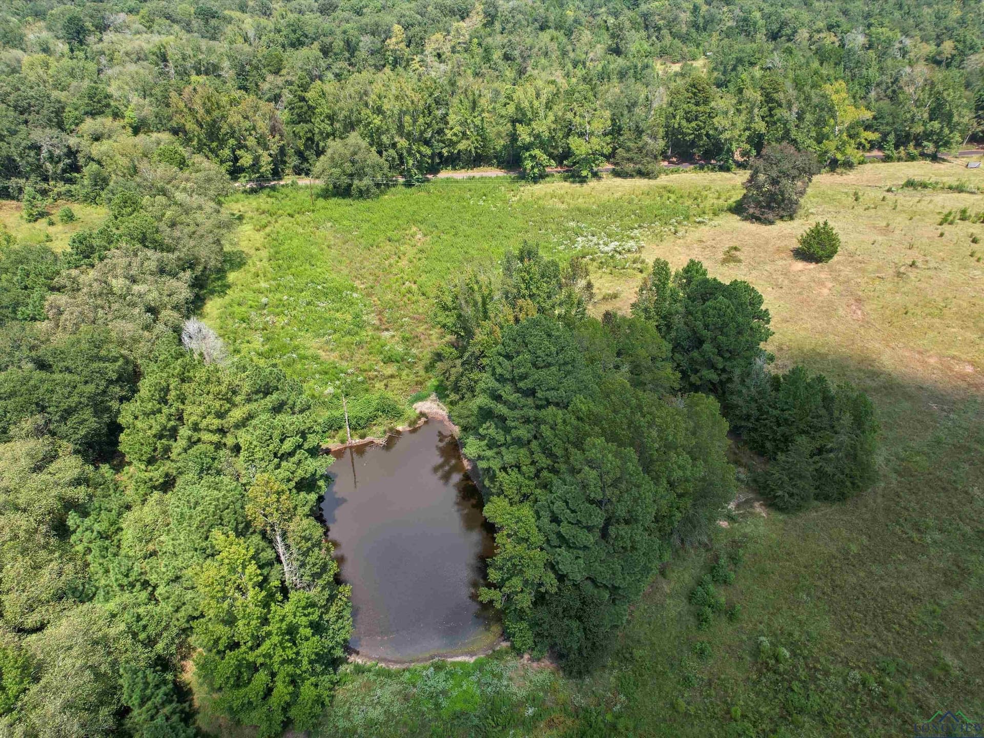 29.75 acres in Upshur County - photo 6