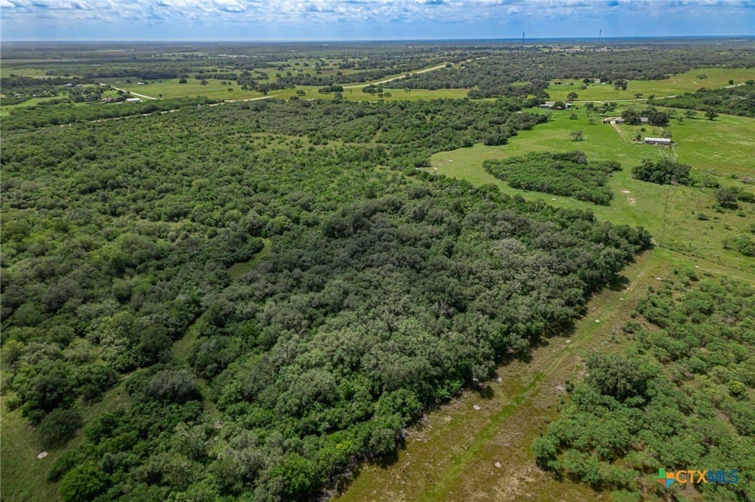 157.31 acres in DeWitt County - photo 10
