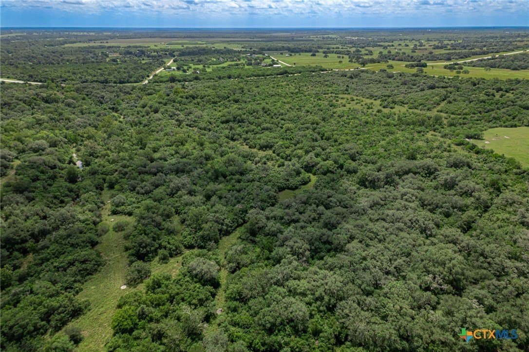 157.31 acres in DeWitt County - photo 11