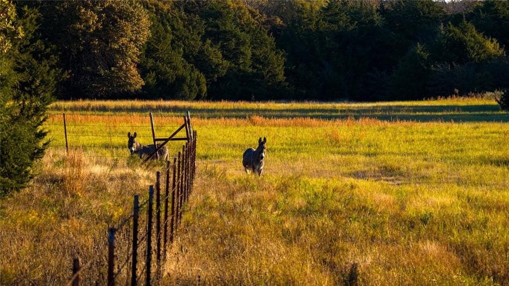 230 acres in Cooke County - photo 33
