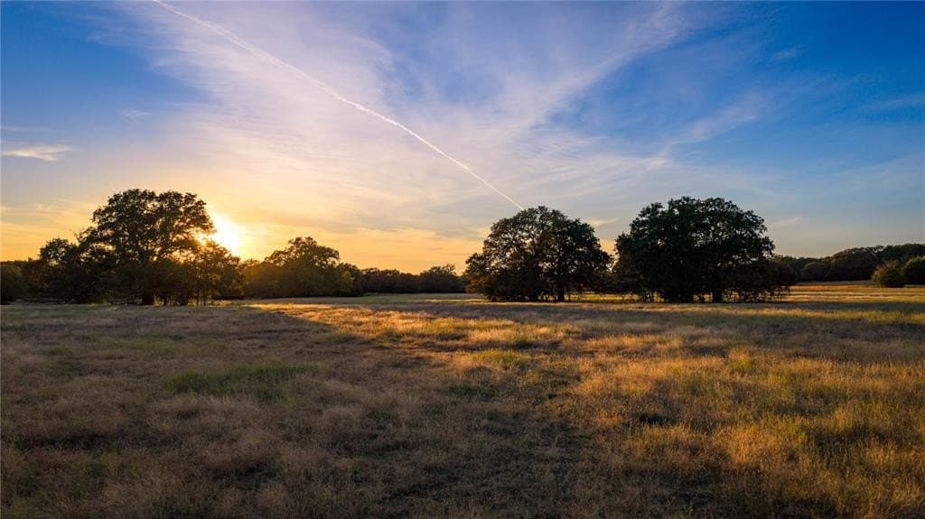 230 acres in Cooke County - photo 7
