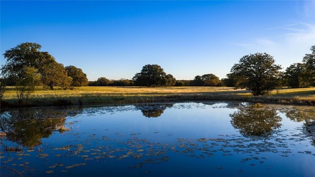 230 acres in Cooke County - photo 8