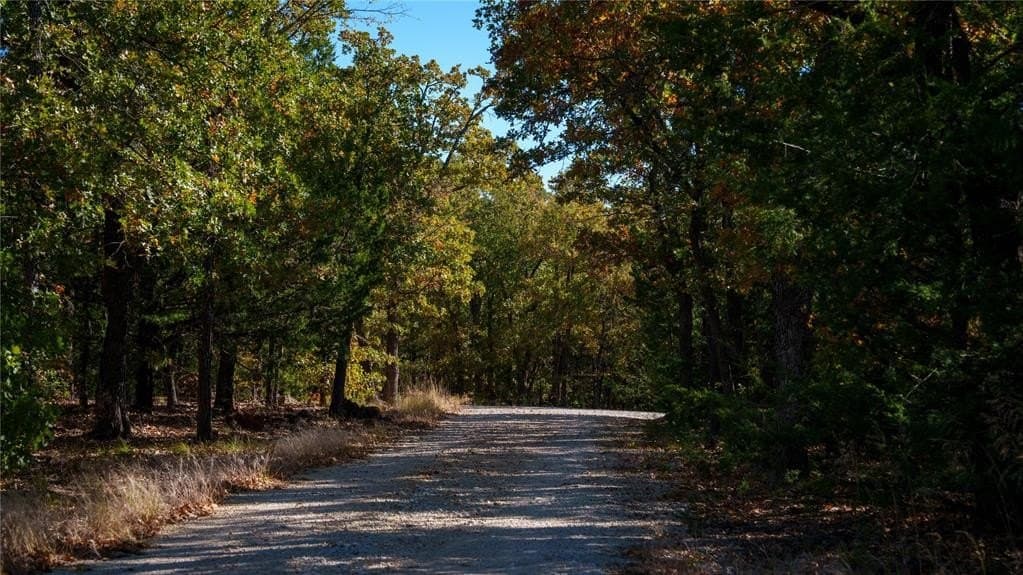 230 acres in Cooke County - photo 11