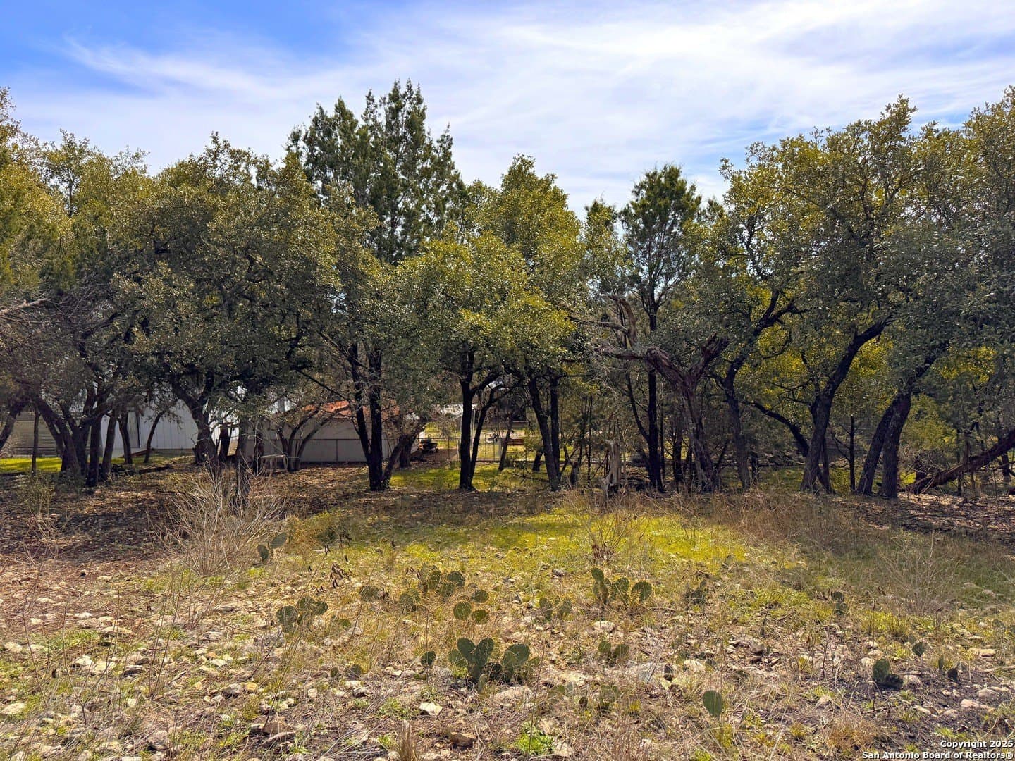 0.34 acres in Comal County - photo 3