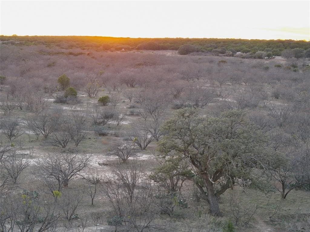 106 acres in Coleman County - photo 33