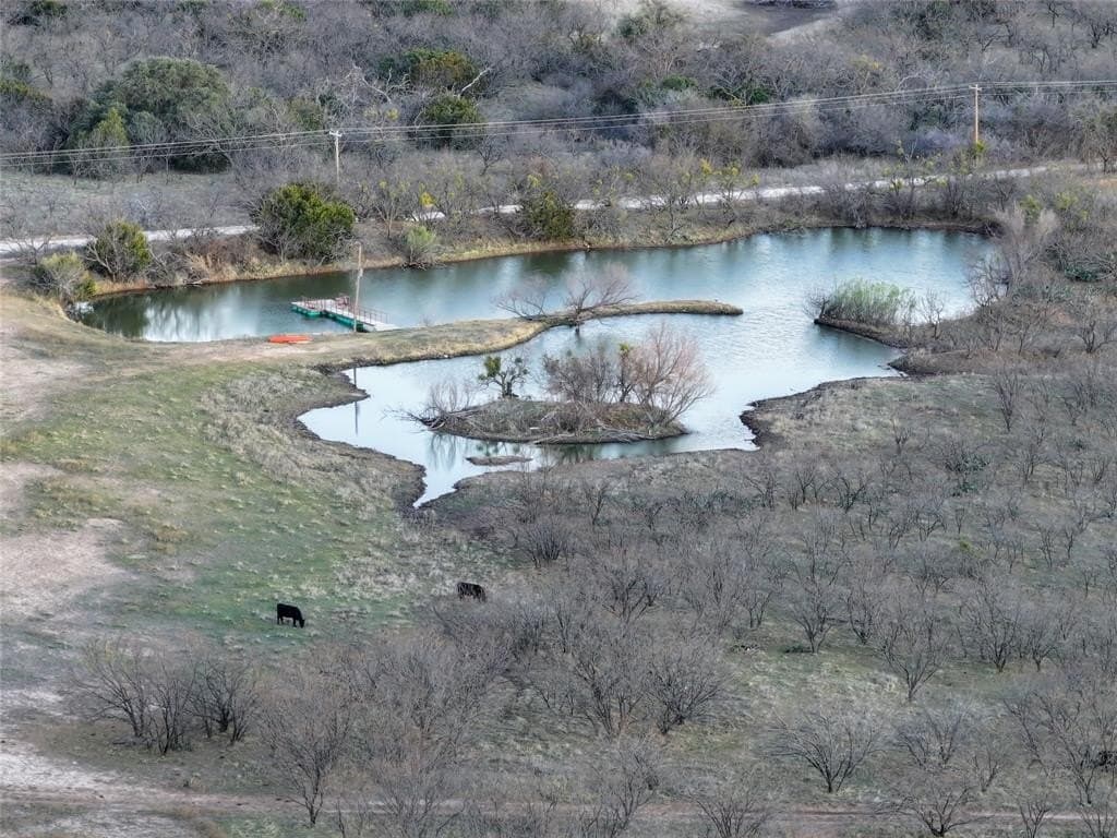 106 acres in Coleman County - photo 16