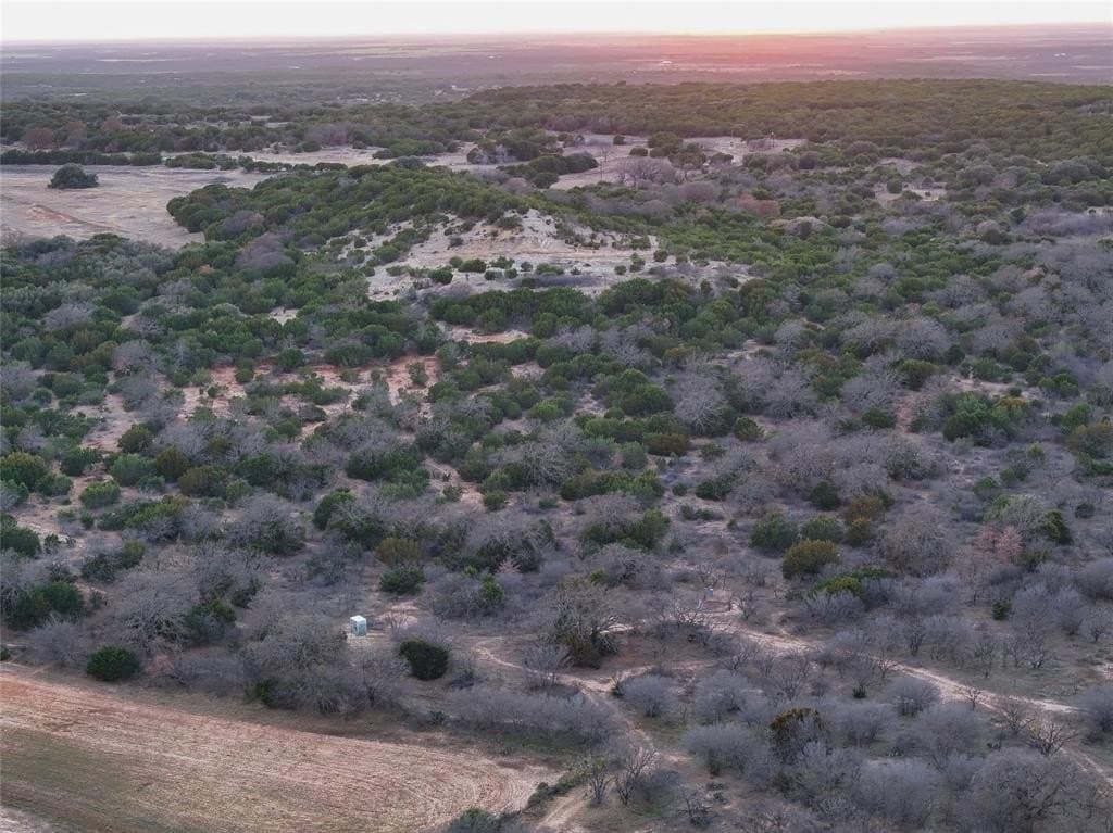 106 acres in Coleman County - photo 7