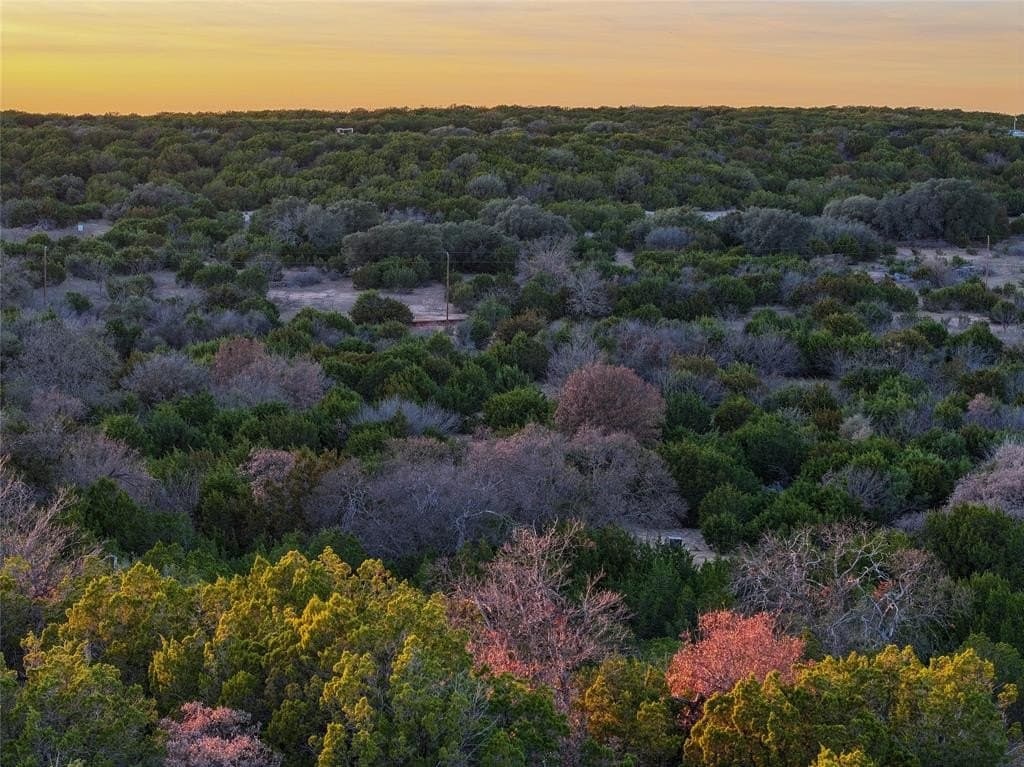 106 acres in Coleman County - photo 13