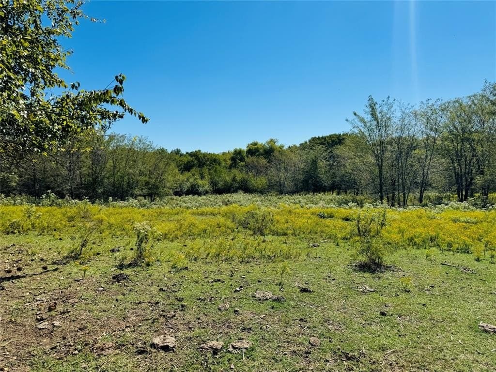 110.5 acres in Fannin County - photo 7