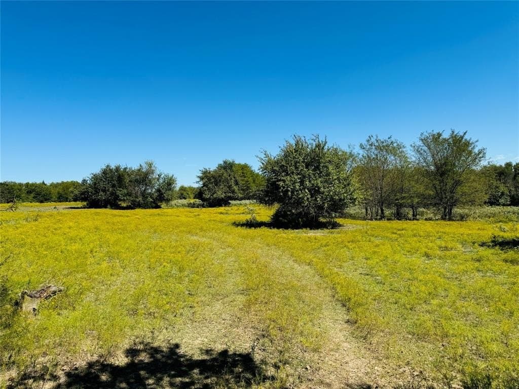 110.5 acres in Fannin County - photo 13