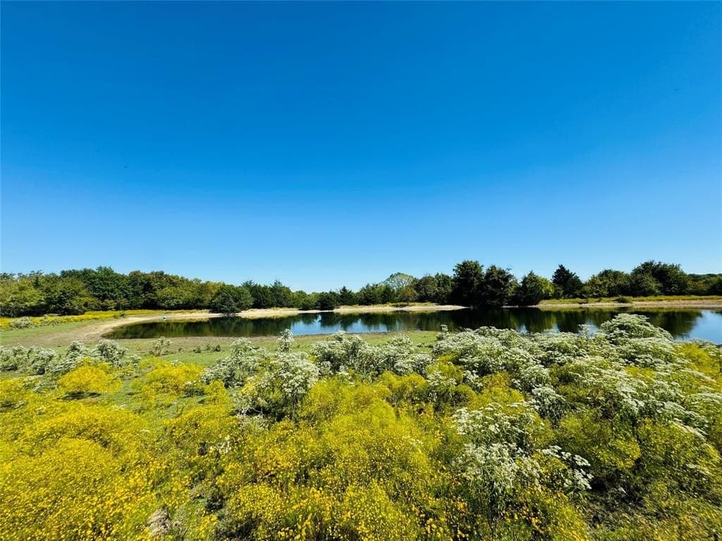 110.5 acres in Fannin County - photo 11