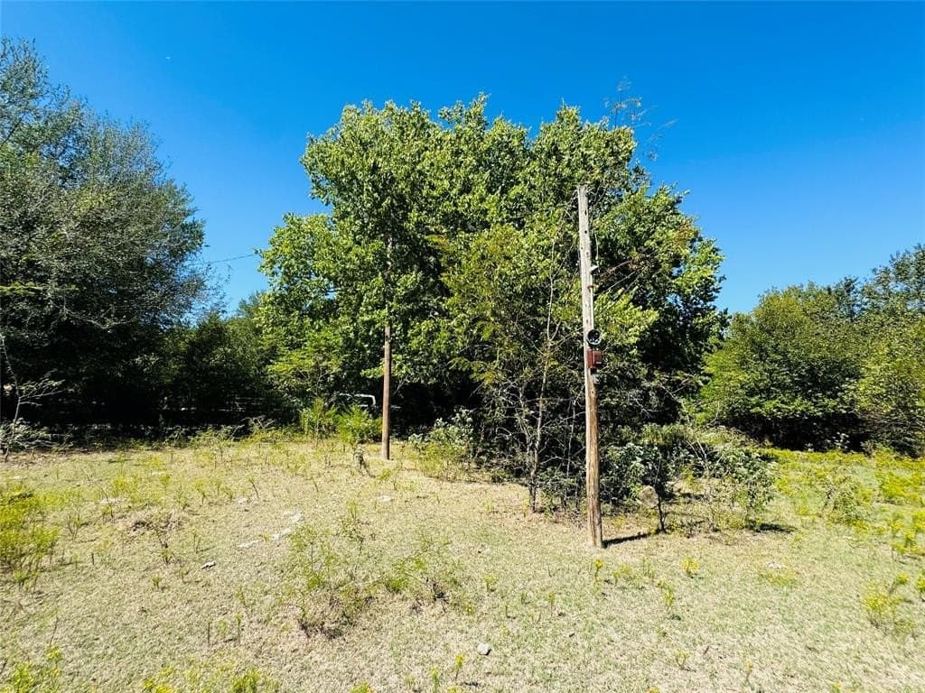 110.5 acres in Fannin County - photo 4