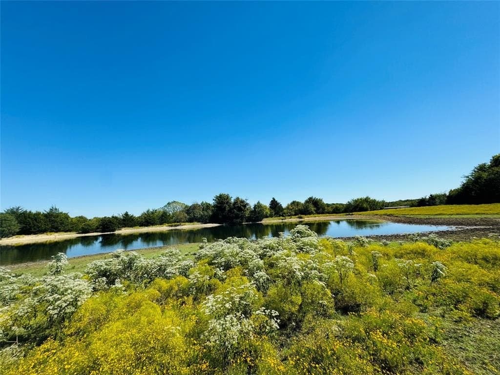 110.5 acres in Fannin County - photo 10