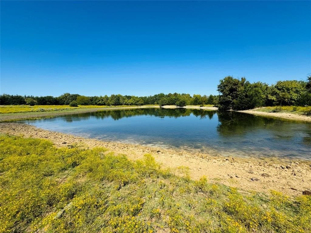 110.5 acres in Fannin County - photo 9