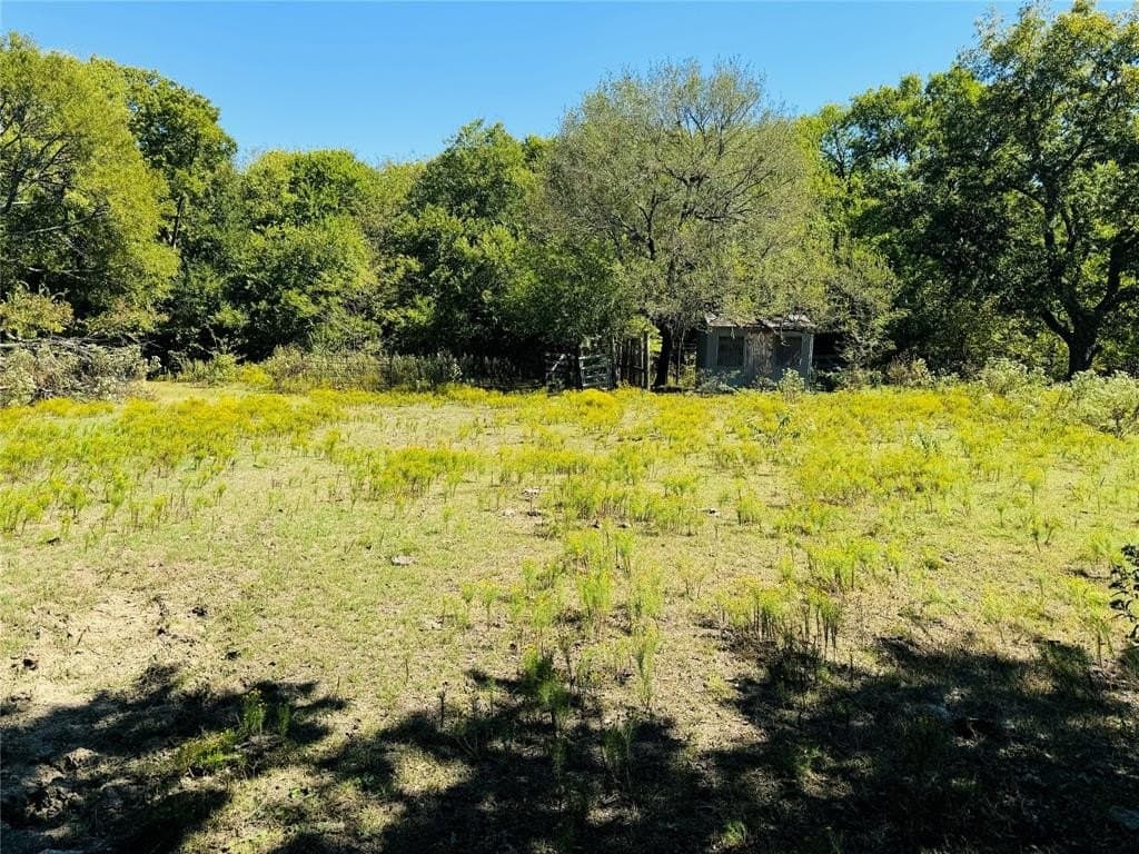 110.5 acres in Fannin County - photo 5