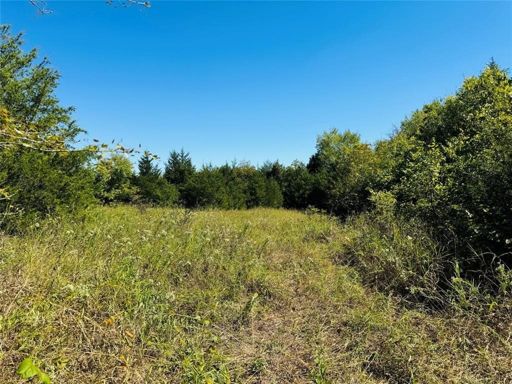 110.5 acres in Fannin County - photo 14