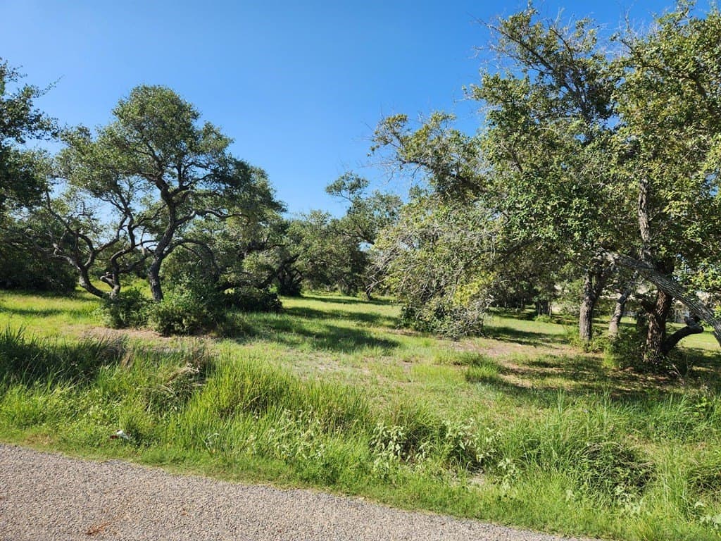 0 acres in Texas County - photo 5