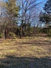 4.83 acres in Van Zandt County - photo 3