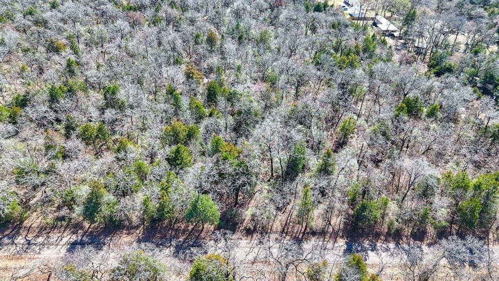 1 acres in Freestone County - photo 9
