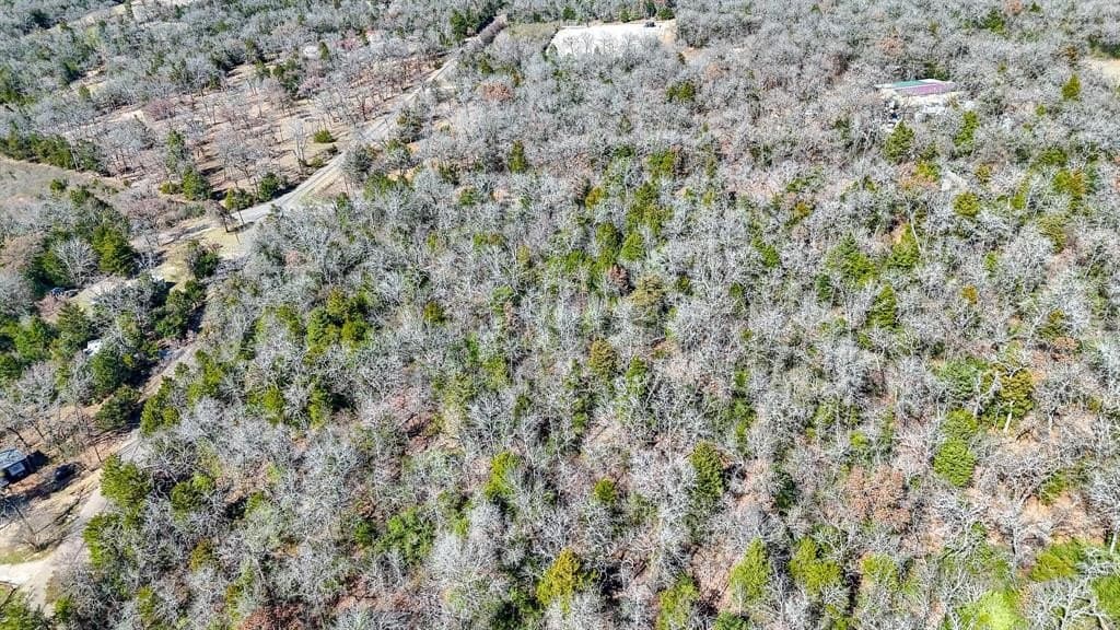 1 acres in Freestone County - photo 18