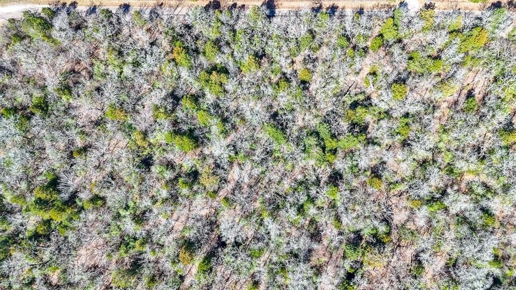 1 acres in Freestone County - photo 15