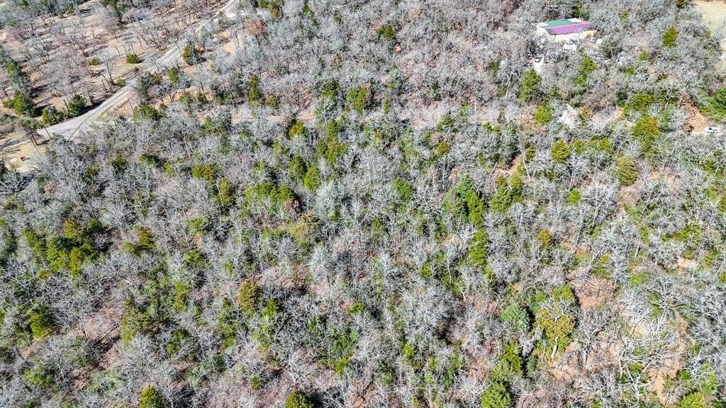 1 acres in Freestone County - photo 16