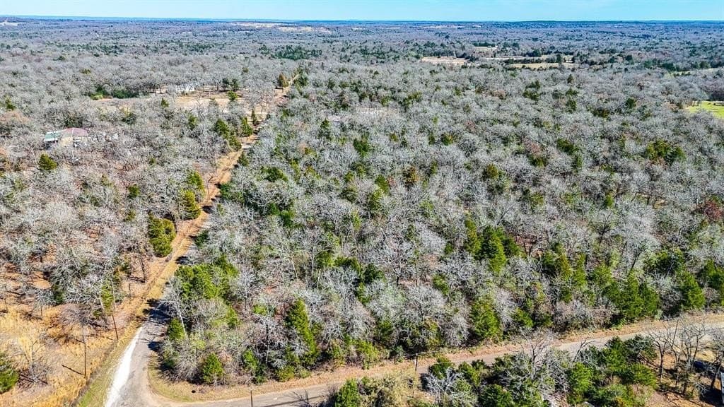 1 acres in Freestone County - photo 12