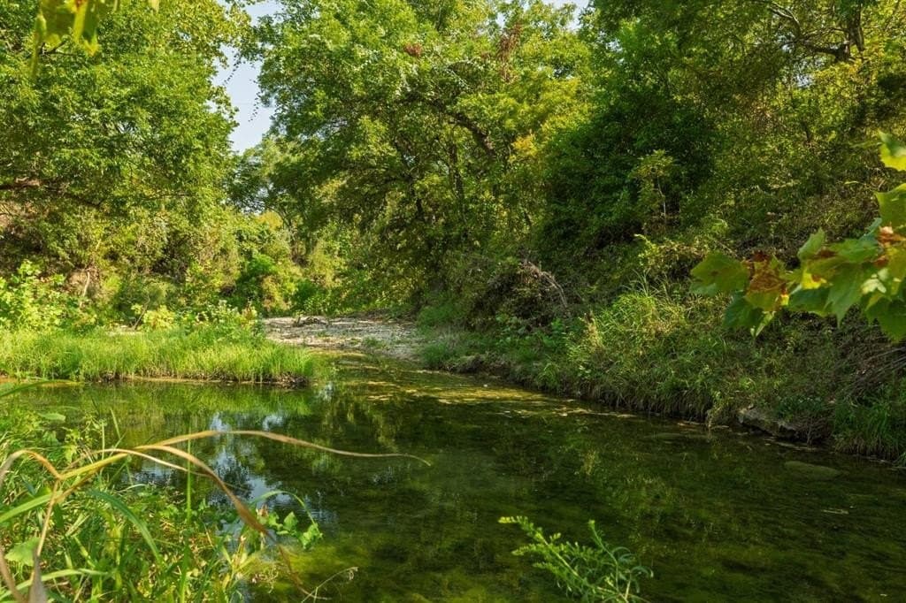 16.51 acres in Hood County - photo 4