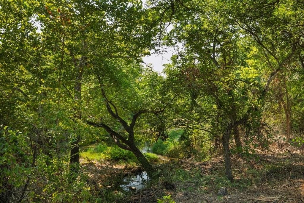 16.51 acres in Hood County - photo 8