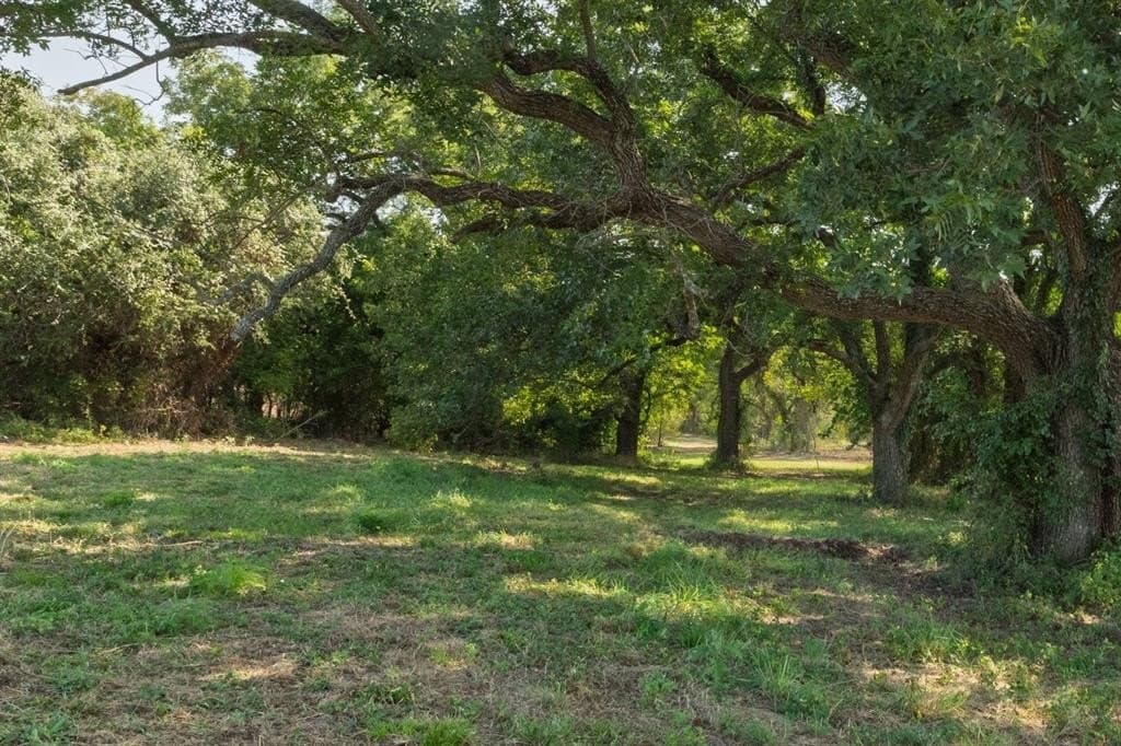 16.51 acres in Hood County - photo 17