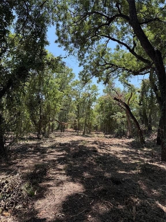 16.51 acres in Hood County - photo 12