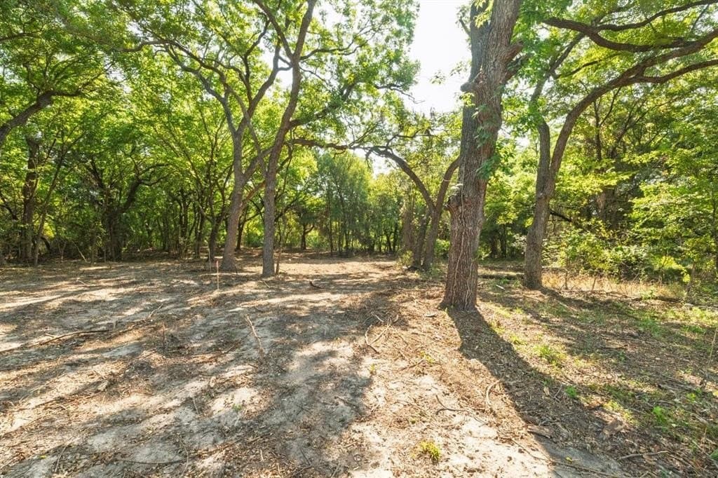 16.51 acres in Hood County - photo 13