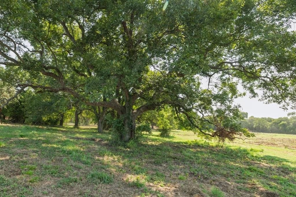 16.51 acres in Hood County - photo 14