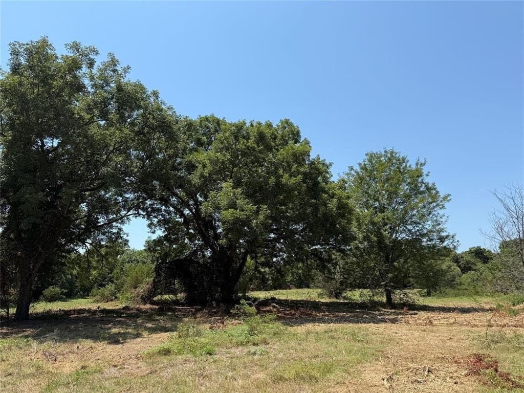 16.51 acres in Hood County - photo 24