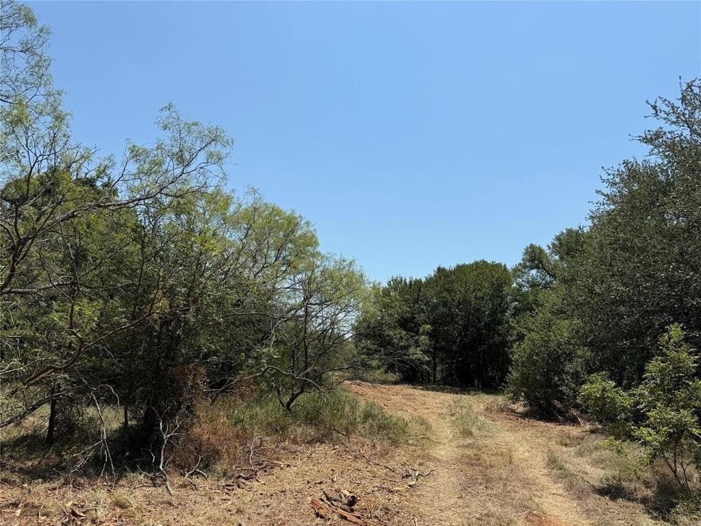 16.51 acres in Hood County - photo 31