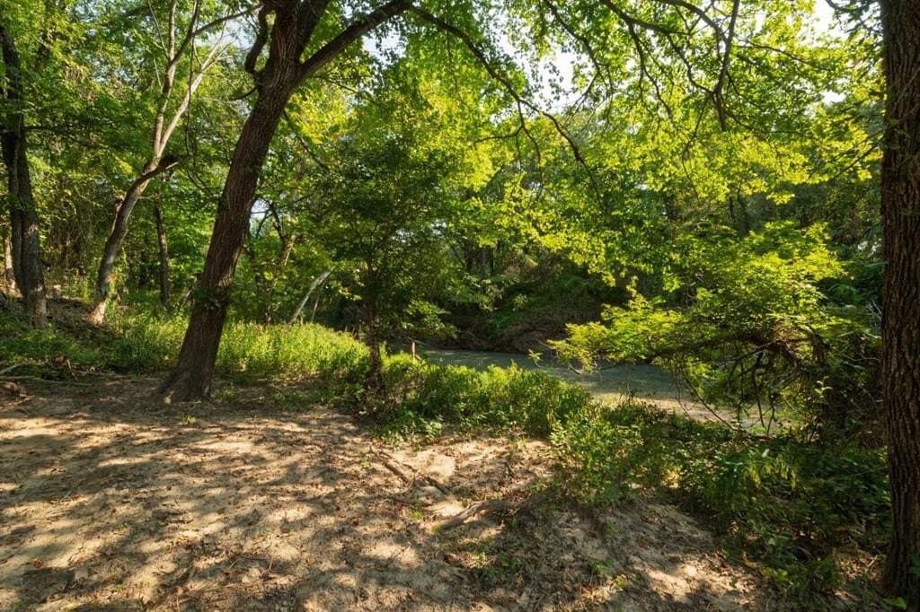 16.51 acres in Hood County - photo 9