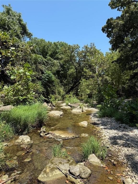 16.51 acres in Hood County - photo 5