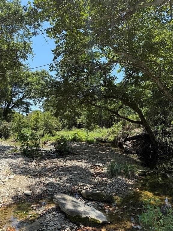 16.51 acres in Hood County - photo 6