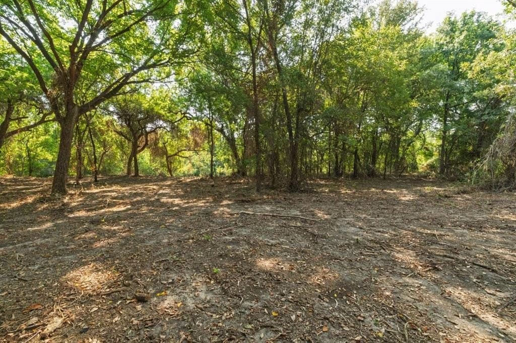 16.51 acres in Hood County - photo 15